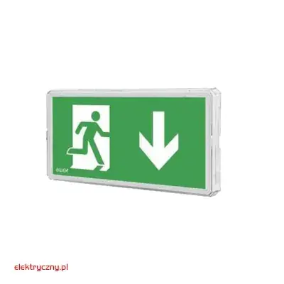 OPRAWA AWARYJNA LED EXIT M IP65 AWEX