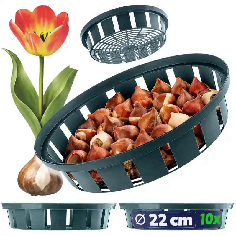 Koszyk do cebulek Julis 22 cm, 10 szt.