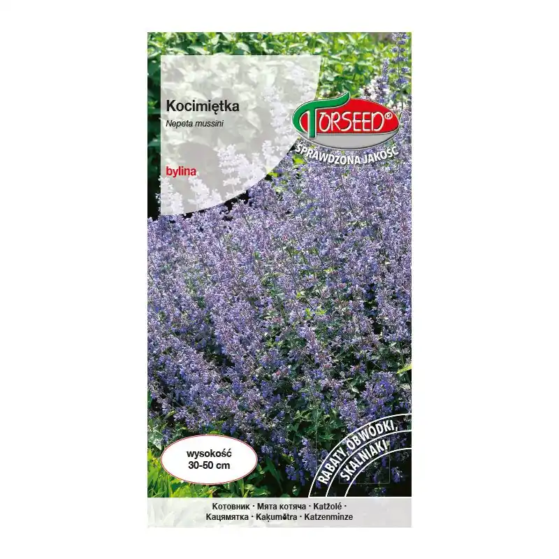 Kocimiętka - Nepeta mussini niebieska 0,5g