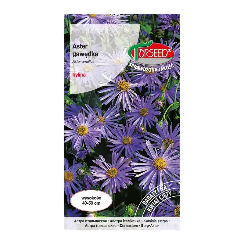 Aster gawędka - Aster amellus lawendowoniebieski 0,3g