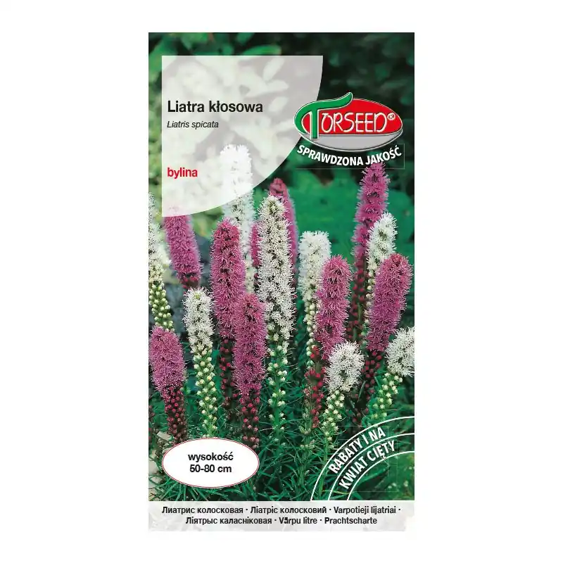 Liatra kłosowa - Liatris spicata mieszanka 0,2g