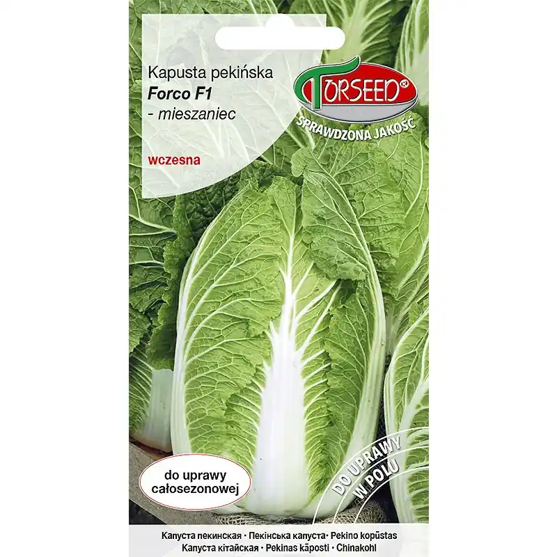 Kapusta pekińska Forco F1 0,5g