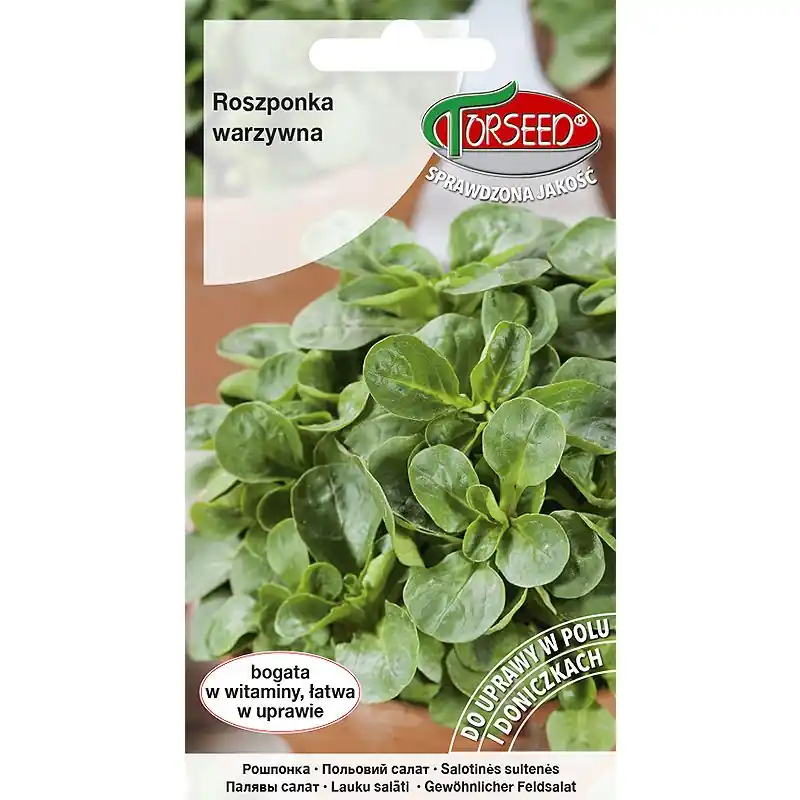 Roszponka warzywna Verte de Cambrai 2g