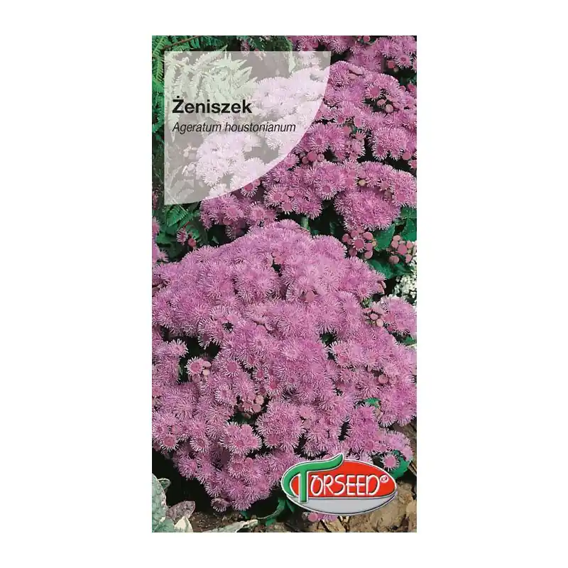 Żeniszek - Ageratum houstonianum różowy 0,25g