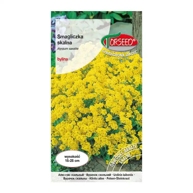 Smagliczka skalna - Alyssum saxatile żółta 0,5g