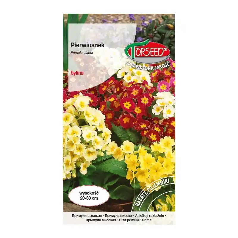 Pierwiosnek - Primula elatior mieszanka 0,3g