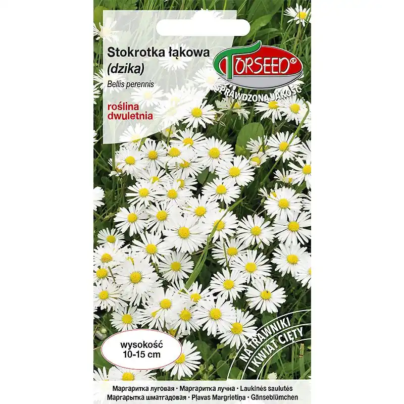 Stokrotka łąkowa - Bellis perennis biała 0,2g