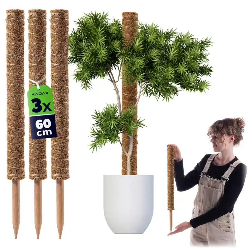 Tyczka do roślin kokosowa Cande 60 cm podpora doniczkowa 3 szt.