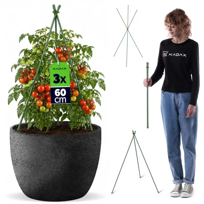 Stożkowa podpora ogrodowa Chevre 3-elementowa 60 cm 3 szt.