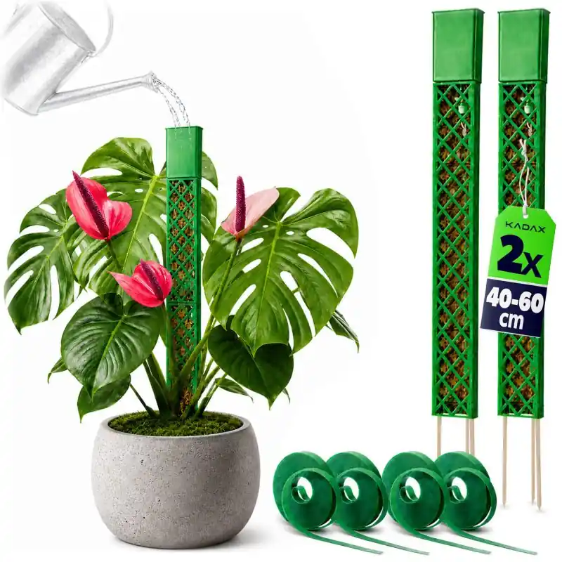 Palik do mchu Vayrac 40 x 4 cm zielony 2 szt.