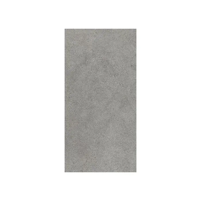Authority Grey Gres Szkl. Rekt. Mat 60x120