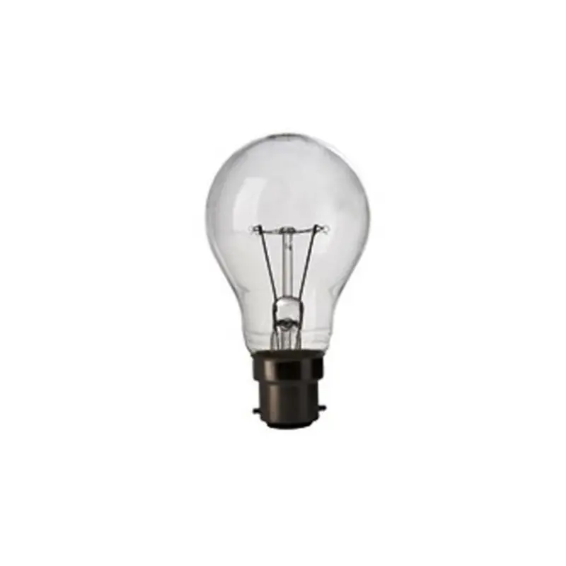 Żarówka B22 24V 40W A60